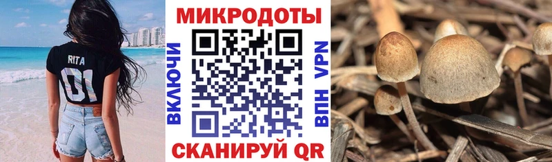 Галлюциногенные грибы Magic Shrooms  Комсомольск-на-Амуре 